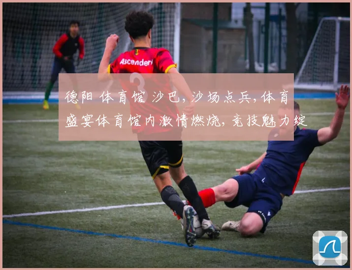 德阳 体育馆 沙巴,沙场点兵,体育盛宴体育馆内激情燃烧,竞技魅力绽放