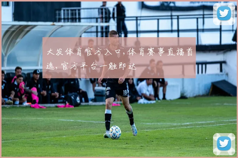 大发体育官方入口,体育赛事直播首选,官方平台一触即达