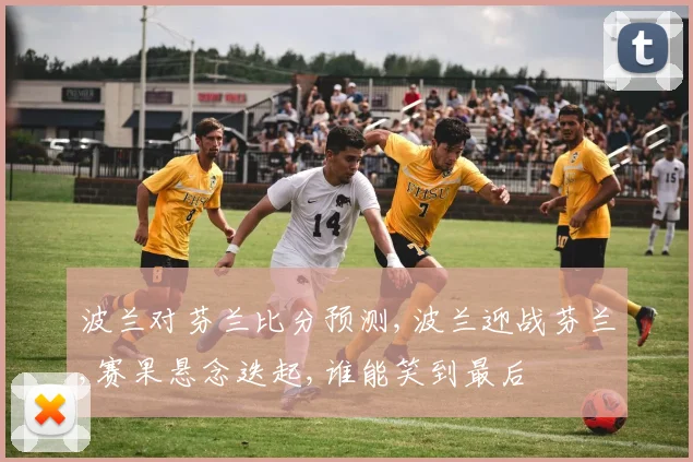 波兰对芬兰比分预测,波兰迎战芬兰,赛果悬念迭起,谁能笑到最后